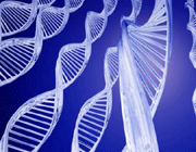 breast cancer gene may not pass to all