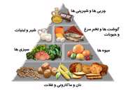 تغذیه
