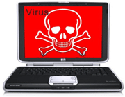 ویروس های رایانه ای ، قاتلان حرفه ای