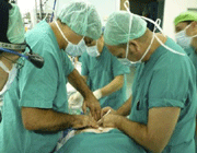 dr. paolo macchiarini (l) and his surgical team transplant the windpipe.
