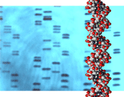 اثر انگشت dna