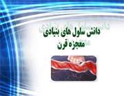 دستاوردهای دانش آموزان راهنمایی مشکوه