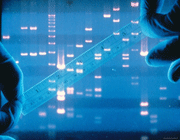اثر انگشت dna