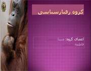 دستاوردهای دانش آموزان راهنمایی مشکوه