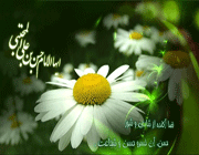 امام حسن