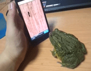 parmak isiran kurbağa