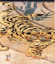 tiger