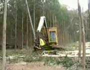 ağaç kesme makinası 