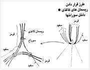 جعبه کادو 1