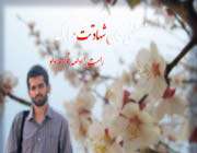убийство иранского физика-ядерщика мостафы ахмади рошана в тегеране