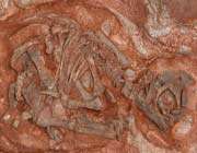 oldest dinosaur nest site found