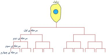 توان (2)