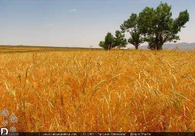 دریاچه، کوه و دیگر هیچ!