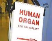  organ transplant