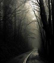 dark-road