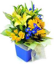 delightful floral box