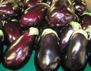 eggplants