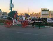 درشكه سواری