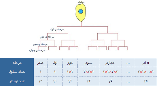 توان