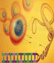 آشنایی با علم ژنتیک(1)
