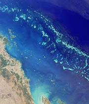 الحيّد المرجاني العظيم - أستراليا
