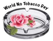 no tobacco