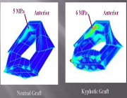 بیومکانیک و کاربردهای آن