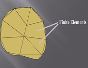 بیومکانیک و کاربردهای آن