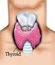 tiroid hormonundaki hassas denge