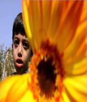 عطر مدرسه