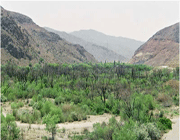 محیط زیست