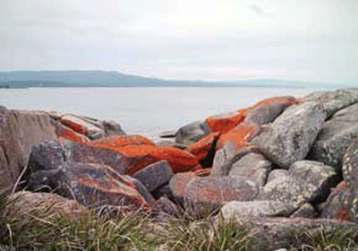 20121006103144458_55.gif