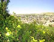 شارستانی دیوانده‌ره‌