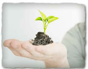 سبک یادگیری فردی