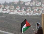 a man waves the palestinian national flag