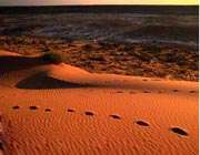 عجیب‌ترین صحراهای دنیا