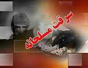 سرقت مسلحانه،دزدی