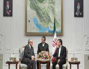 iranian president mahmoud ahmadinejad (r) meets with visiting egyptian tourism minister hisham zazou