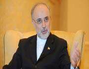 iran’s foreign minister ali akbar salehi 