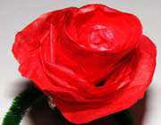 tissue paper rose