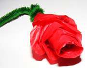tissue paper rose