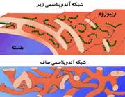 احزای سلول گیاهی (2)