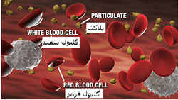 پلاسما و ذرات آن