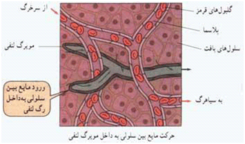 پلاسما و ذرات آن