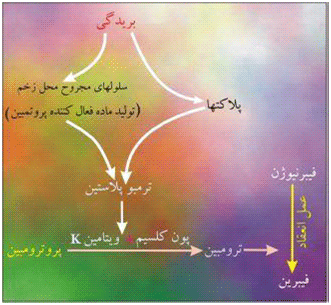 پلاسما و ذرات آن