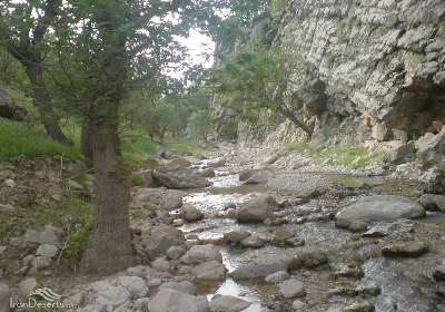 کوه‌