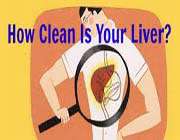 how clean is your liver?