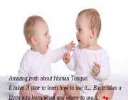the amazing truth about human tongue