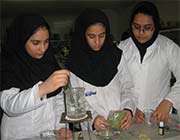 دستاورد برتر متوسطه 1 حضرت معصومه (س)، استفاده از ترکیبات گیاه استویا