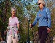 exercise -breast cancer 